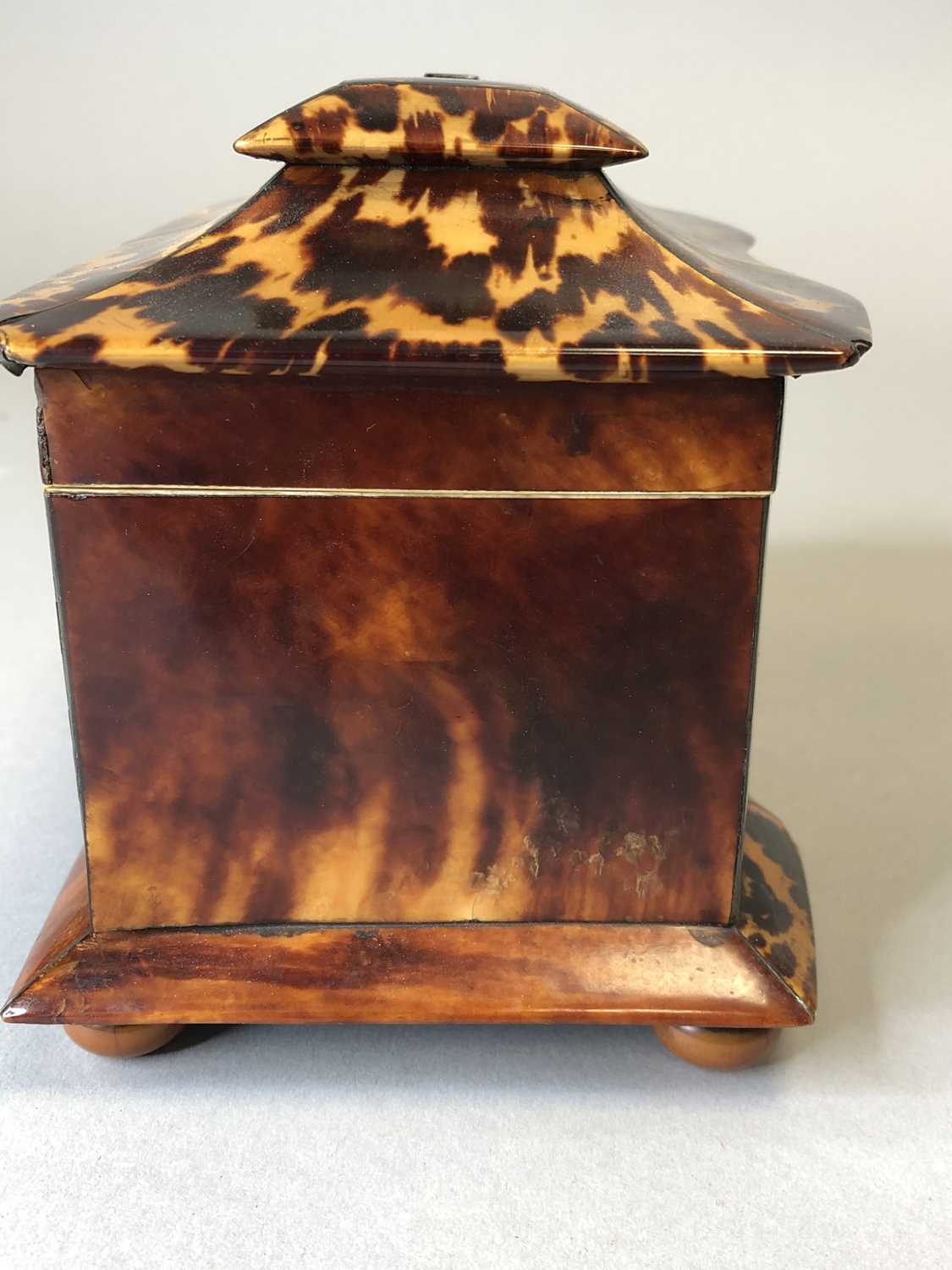 A 19th century toiseshell tea caddy and a later box - Image 3 of 11