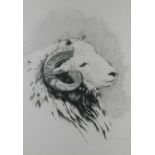 Roger Powell (British 20th Century) Pencil Drawing of a Ram's Head