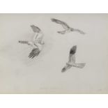 John Cyril Harrison (British 1895-1985) Two Harrier Studies