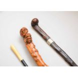 Two 19th/20th century walking sticks and an opera cane