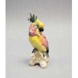 Karl Ens porcelain model of a cockatoo