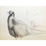 Philip Rickman (British 1891-1982) Gamebird and Pheasant Studies