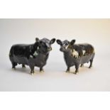 Two Beswick Aberdeen Angus cattle