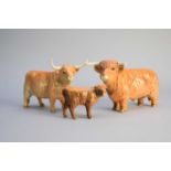 Beswick Highland Cattle family group