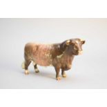 Beswick Dairy Shorthorn bull