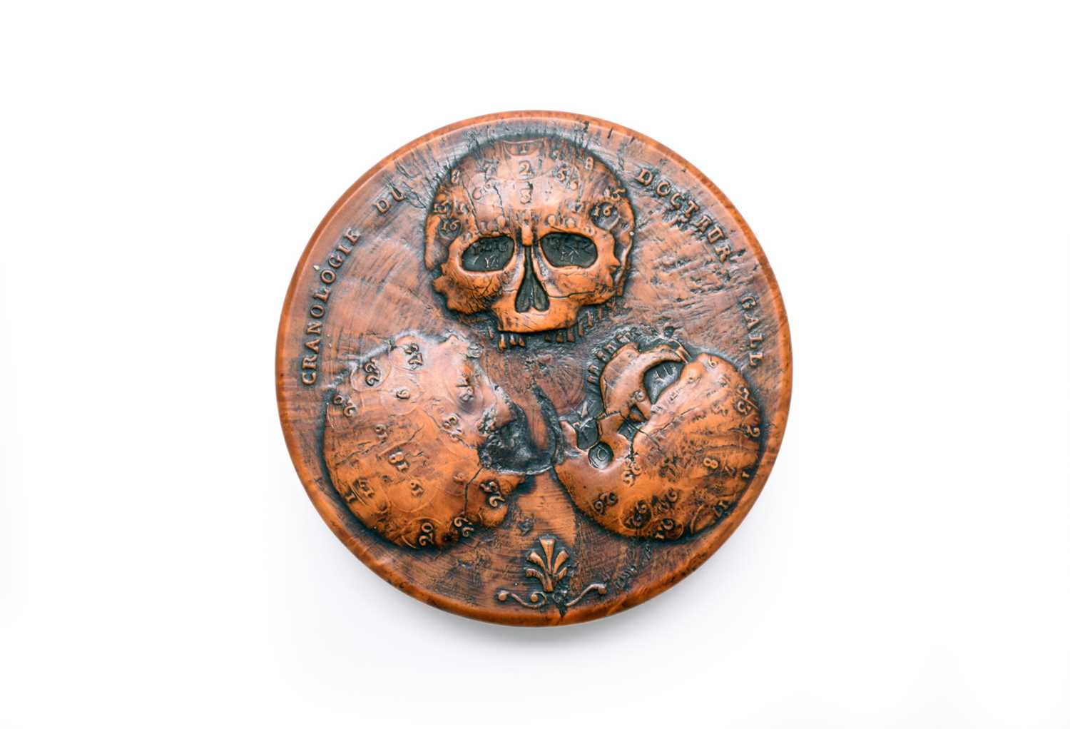 A French walnut 'Docteur Gall' snuff box, early 19th century