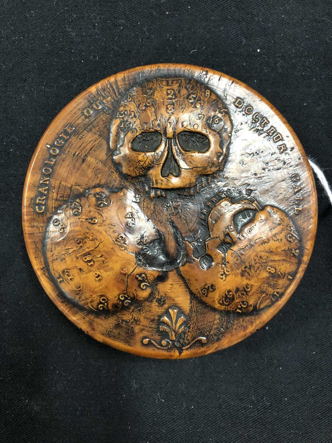 A French walnut 'Docteur Gall' snuff box, early 19th century - Image 5 of 10