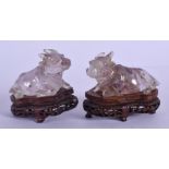 A PAIR OF 19TH CENTURY CHINESE CARVED AMETHYST ROCK CRYSTAL BULLOCK Late Qing, upon fitted hardwood