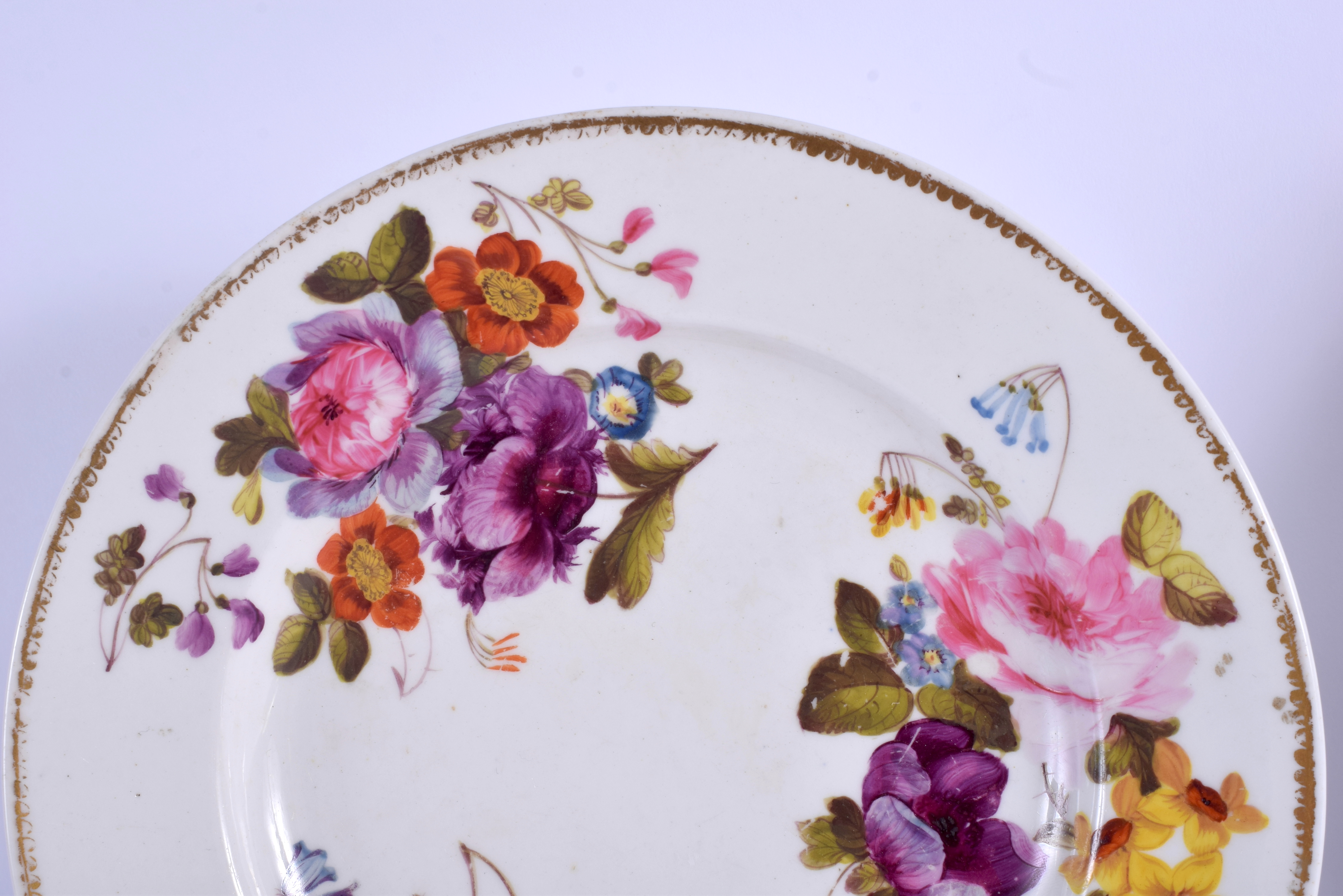 A PAIR OF EARLY 19TH CENTURY DERBY PORCELAIN PLATES painted with botanical sprays. 20 cm diameter. - Image 4 of 8
