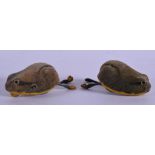 A RARE PAIR OF SCHUCO TIN PLATE WIND UP TOADS with felt backs. 10 cm wide.