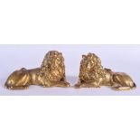 A MAJESTIC PAIR OF 18TH/19TH CENTURY ITALIAN GILT BRONZE LIONS possibly after a model after Antonio