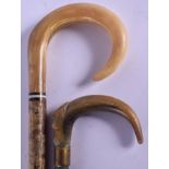 A 19TH CENTURY CONTINENTAL CARVED RHINOCEROS HORN WALKING CANE together with another. 88 cm long. (2