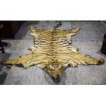 A LATE VICTORIAN TAXIDERMY FULL TIGER SKIN with teeth and claws. 330 cm x 210 cm.