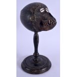 A 19TH CENTURY DAYAK COFFEE BEAN SHELL INLAID COCONUT MONKEY SKULL upon a wooden plinth. 26 cm high.