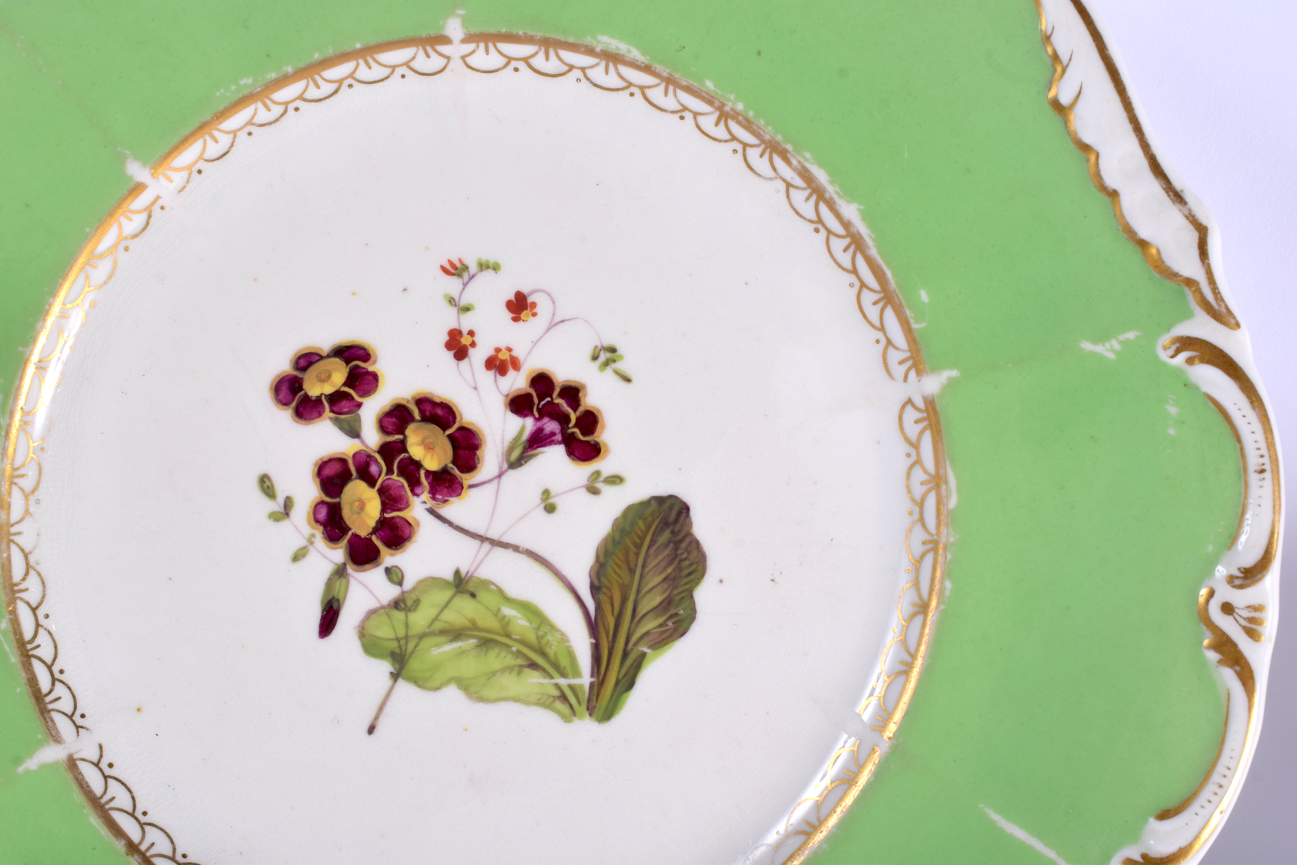 A PAIR OF EARLY 19TH CENTURY DERBY PORCELAIN PLATES painted with flowers under an apple green border - Image 3 of 5