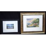 A framed watercolour of a coastal scene together with another watercolour of penguins 20 x 29cm