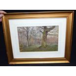 Framed 1912 signed water colour of a forest. 34 x 23cm.