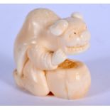 A 19TH CENTURY JAPANESE MEIJI PERIOD CARVED IVORY NETSUKE modelled as a male wearing a dog skin. 4 c