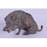 A CONTEMPORARY COLD PAINTED BRONZE HOG. 5 cm wide.