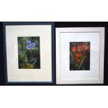 A framed acrylic of a speedwell by S McNab together with another picture of a flower 24 x 16 (2)