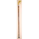 A horn handled wooden walking cane 93 cm .