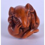 AN EARLY 20TH CENTURY JAPANESE CARVED BOXWOOD NETSUKE modelled as a coiled rat. 4 cm x 3.5 cm