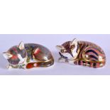 Royal Crown Derby paperweight Catnip Kitten (Collectors Guild) and Sleeping Kitten. 7.5cm wide.