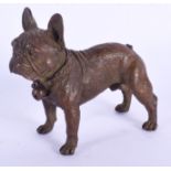 A CONTEMPORARY BRONZE FIGURE OF A DOG. 6 cm x 5 cm.