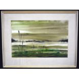 A framed watercolour of a Marshland by D Williams 38 x 58cm.