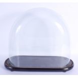 A LARGE ANTIQUE GLASS DOME upon an associated base. 40 cm x 46 cm.