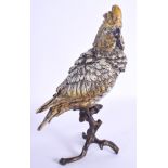 A CONTEMPORARY COLD PAINTED BRONZE FIGURE OF A BIRD modelled upon a naturalistic outcrop. 31 cm high