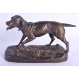 AN EARLY 20TH CENTURY EUROPEAN BRONZE ALLOY FIGURE OF A ROAMING HOUND modelled upon a naturalistic b