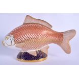 Royal Crown Derby paperweight Carp. 18cm wide.