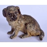 A 19TH CENTURY AUSTRIAN COLD PAINTED BRONZE FIGURE OF A DOG Attributed to Franz Xavier Bergmann. 8 c
