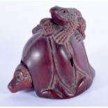 A JAPANESE CARVED BOXWOOD TOAD BOX AND COVER. 7 cm x 5 cm.