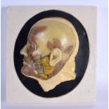 A FRENCH PAINTED POTTERY ANATOMICAL MODEL OF A HALF CUT AWAY HUMAN SKULL depicting various glands an