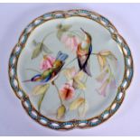 English porcelain plate finely painted with hummingbirds c.1870 probably Davenport. 23.5cm wide