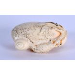 AN EARLY 20TH CENTURY JAPANESE MEIJI PERIOD CARVED IVORY NETSUKE formed as a snail with fruit. 3.5 c