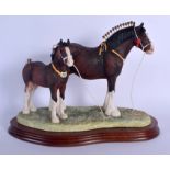 A BORDER FINE ARTS FIGURE OF CHAMPION MARE & FOAL with certificate. 30 cm x 25 cm.