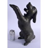 A LARGE CONTEMPORARY BRONZE FIGURE OF A BEGGING DOG. 44 cm x 17 cm.