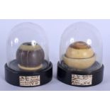 A PAIR OF FRENCH PAINTED WAX ANATOMICAL MODELS OF EYES under glass domes. Eye 4 cm x 3.5 cm.