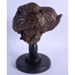 AN EARLY 20TH CENTURY CHINESE CARVED SCHOLARS FUNGUS Late Qing/Republic. Fungus 15 cm x 15 cm.