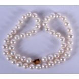 A 14CT GOLD AND PEARL NECKLACE. 40 cm long.