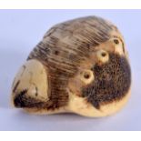 A RARE 18TH/19TH CENTURY JAPANESE EDO PERIOD STAG ANTLER NETSUKE of naturalistic form. 4 cm x 3.25 c