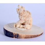 A 19TH CENTURY EUROPEAN CARVED IVORY BEAR modelled with a honeycomb body. 9 cm x 7 cm.