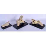 THREE GERMAN PAINTED POTTERY PLASTER MODELS OF HUMAN JOINTS by Bock-Steger, modelled upon ebonised b