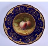 Early 20th c. Coalport plate painted with fruit on a mossy bank under a cobalt and raised gilt borde