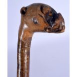 AN EARLY 20TH CENTURY BAVARIAN BLACK FOREST DOG HEAD WALKING CANE. 88 cm long.