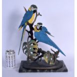 A LARGE BORDER FINE ARTS FIGURE OF A BLUE AND GOLD MACAWS with certificate. 42 cm x 16 cm.