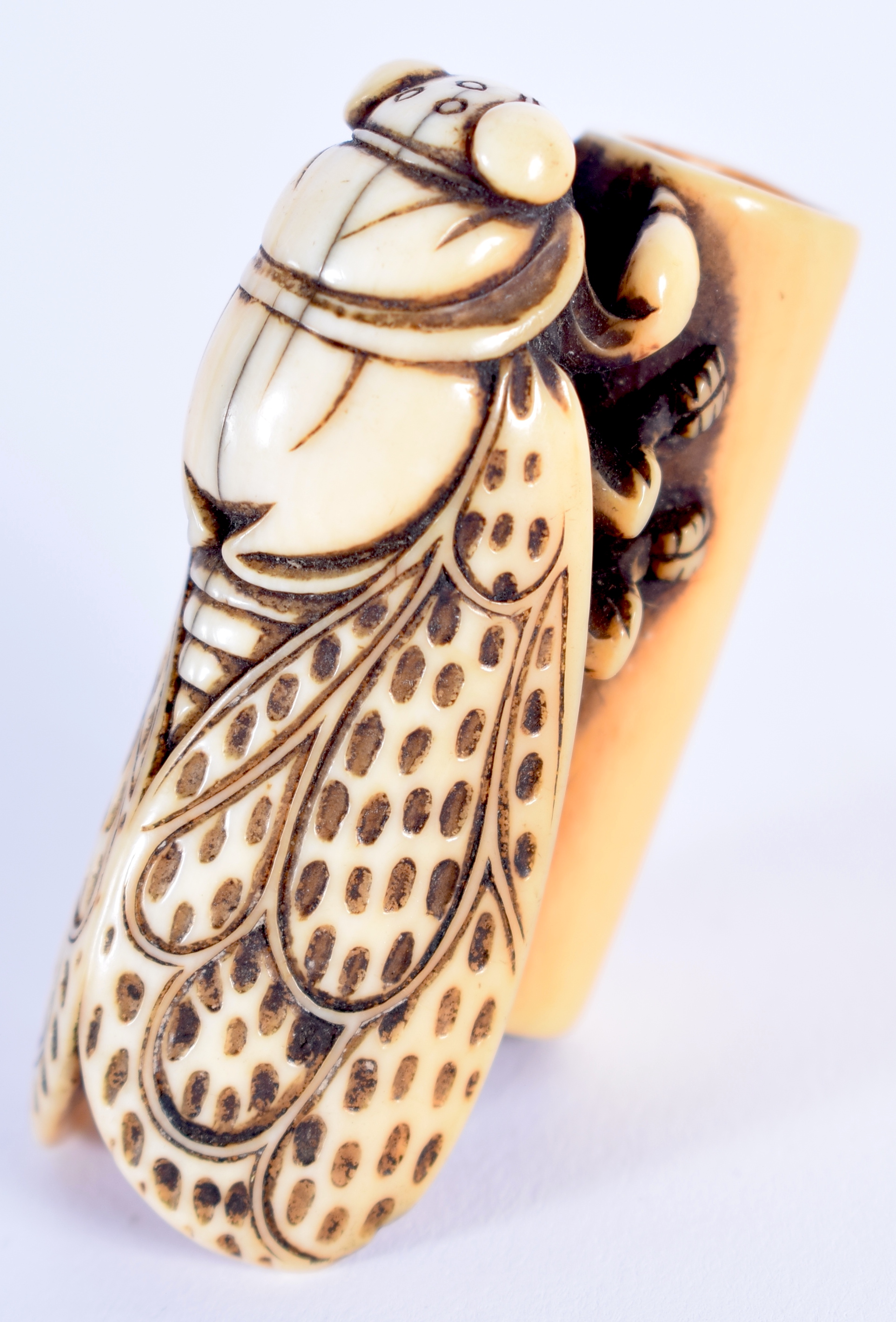 A LOVELY 18TH CENTURY JAPANESE MEIJI PERIOD CARVED IVORY NETSUKE modelled as a fly. 4.5 cm x 2.5 cm.